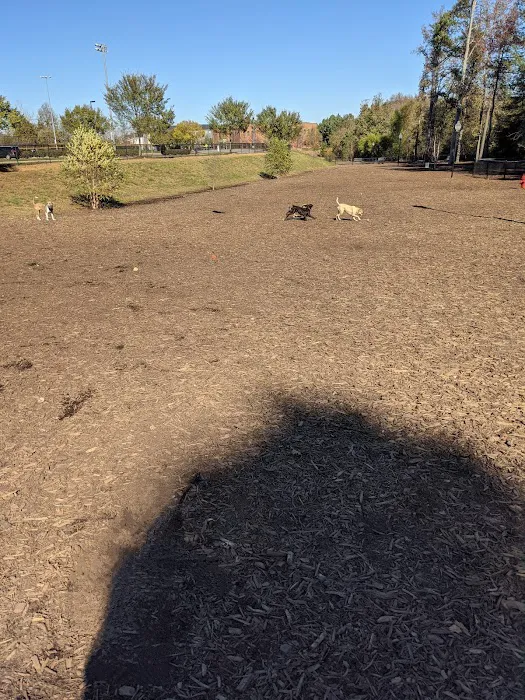 Hunter Street Dog Park (permit required) 3