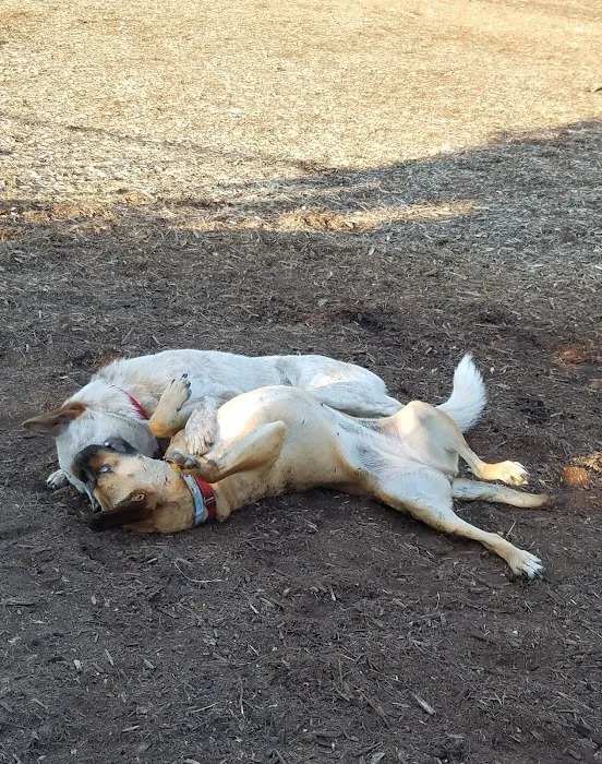 Hunter Street Dog Park (permit required) 10