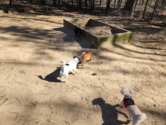 Barkyard Dog Park 2