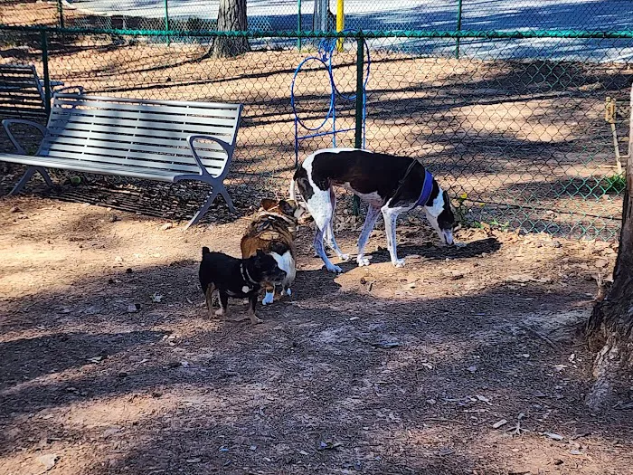 Barkyard Dog Park 3