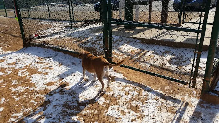 Flaherty Dog Park 1