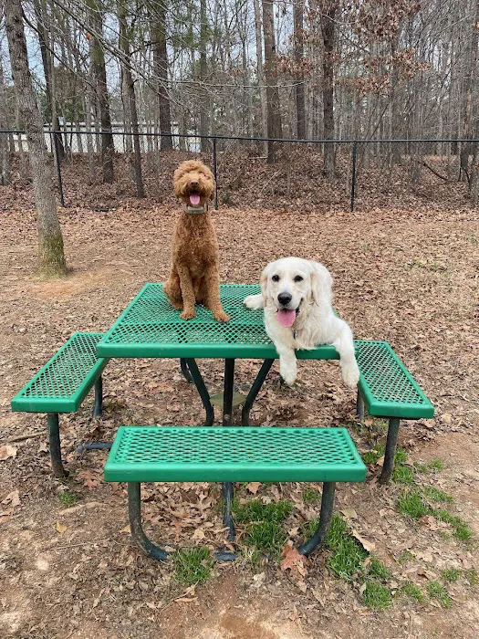 Flaherty Dog Park 6