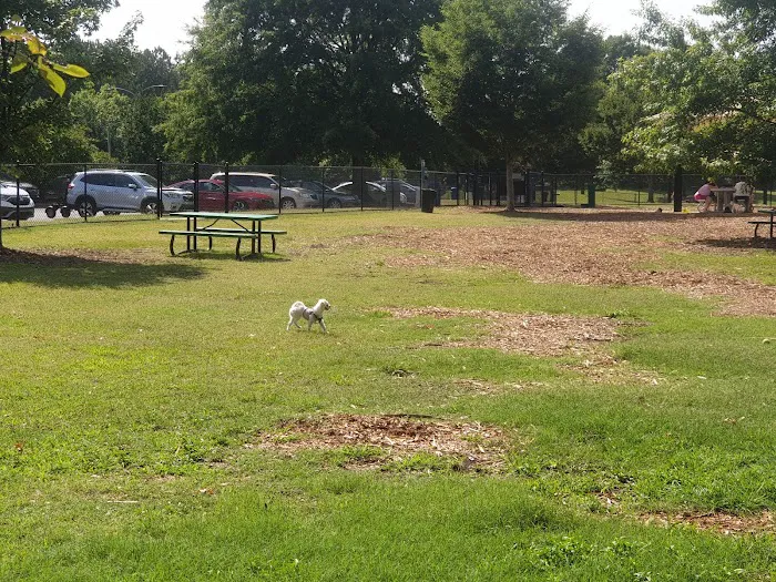Flaherty Dog Park 9
