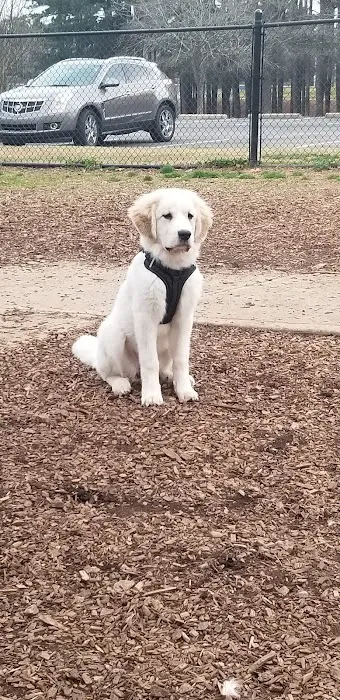 Flaherty Dog Park 10