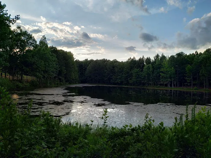 Flaherty Dog Park 7