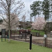 Artisan at Brightleaf Dog Park (Private) ico
