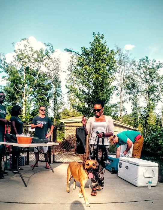 Artisan at Brightleaf Dog Park (Private) 5