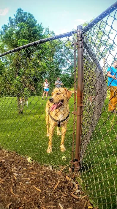 Artisan at Brightleaf Dog Park (Private) 3
