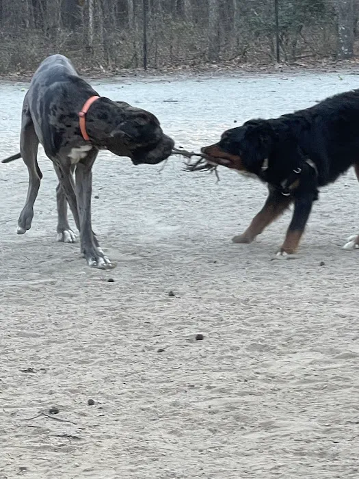 Piney Wood Dog Park 3