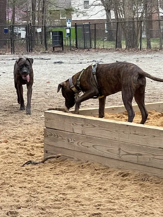 Piney Wood Dog Park 2