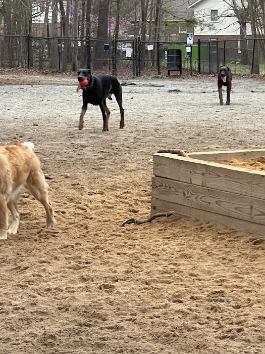 Piney Wood Dog Park 9