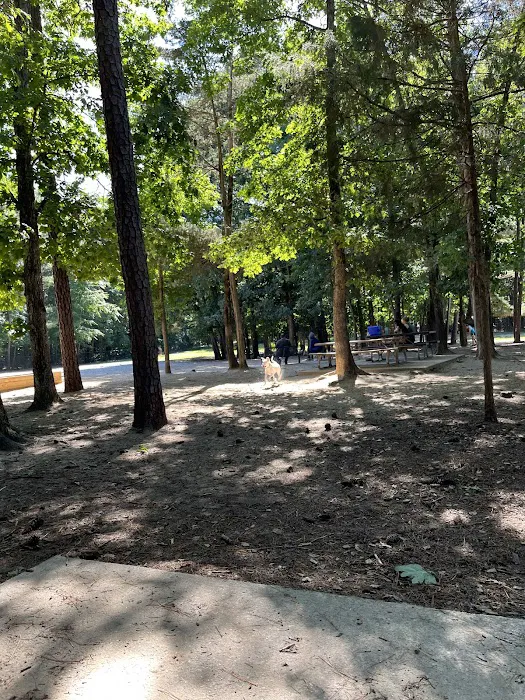 Piney Wood Dog Park 10