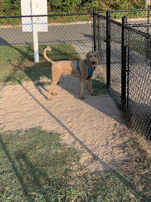 Smithfield Dog Park 10