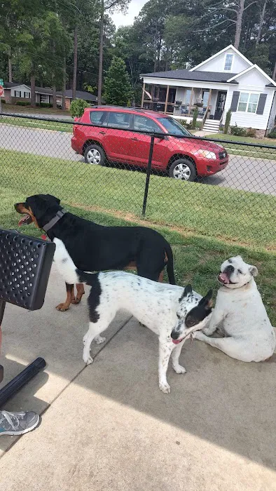 Smithfield Dog Park 8