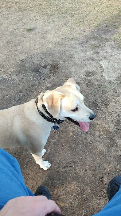 Smithfield Dog Park 1