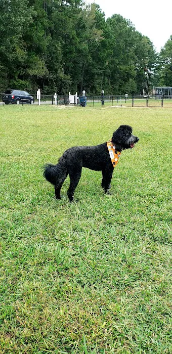 Smithfield Dog Park 6