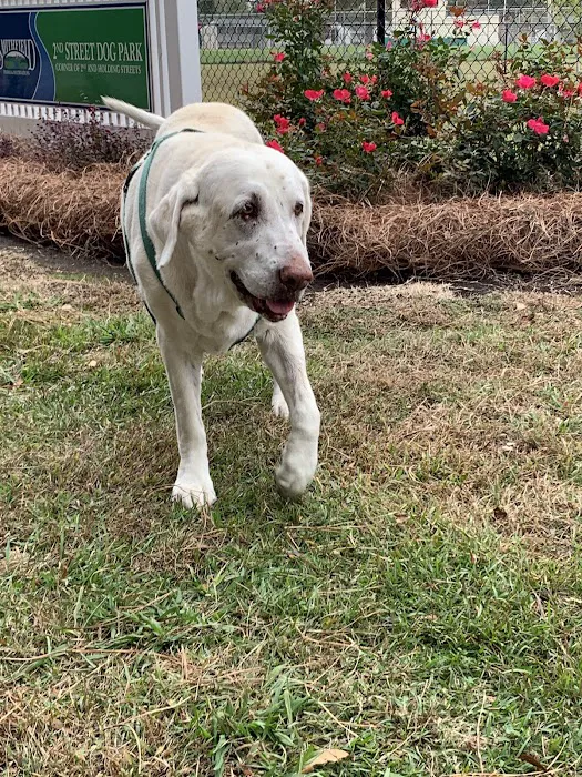 Smithfield Dog Park 4