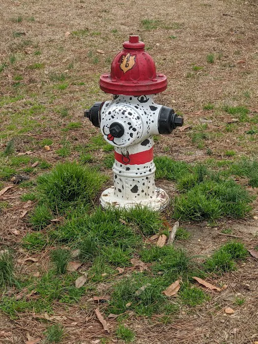 Benson Dog Park 7