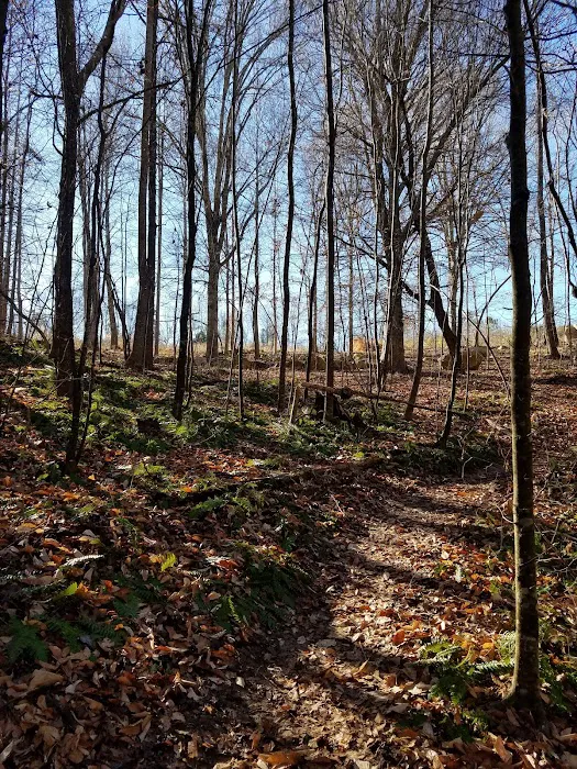 Briar Chapel Dog Park 3