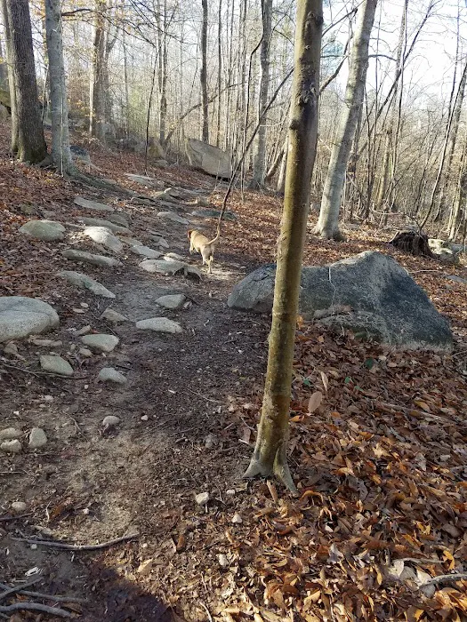 Briar Chapel Dog Park 4