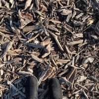 Briar Chapel Dog Park ico