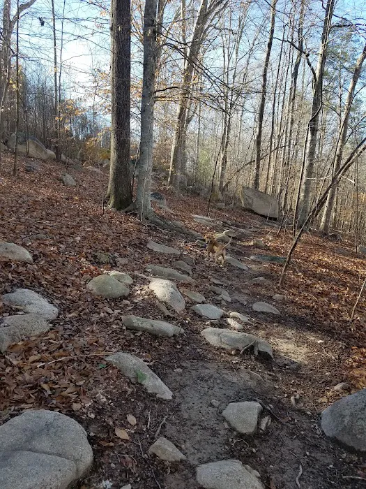 Briar Chapel Dog Park 2