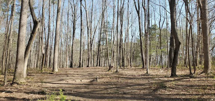 Southern Community Dog Park 8