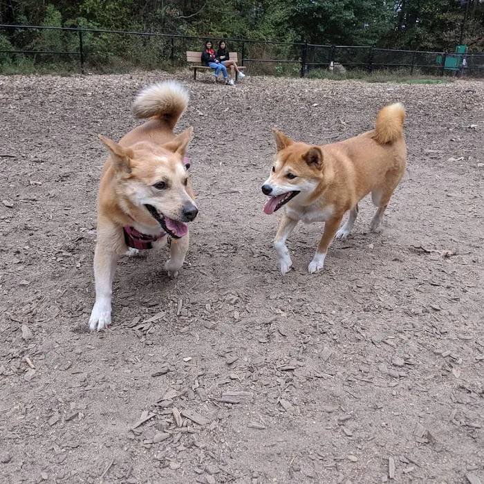 Southern Community Dog Park 6