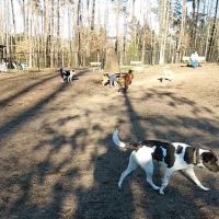 Southern Community Dog Park ico