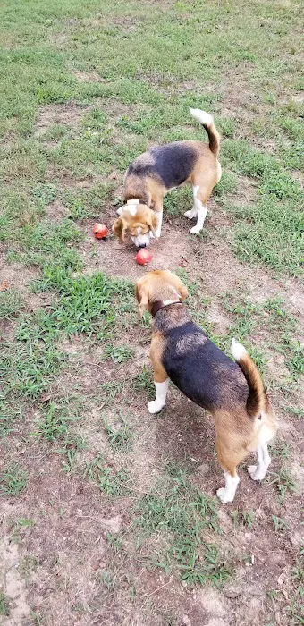 Southern Community Dog Park 2