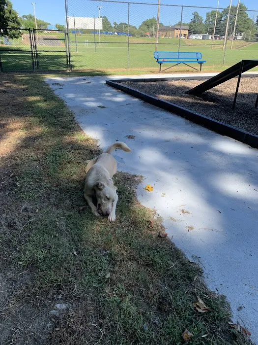 Scentral Bark Dog Park 6