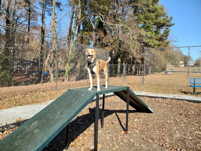 Scentral Bark Dog Park 3