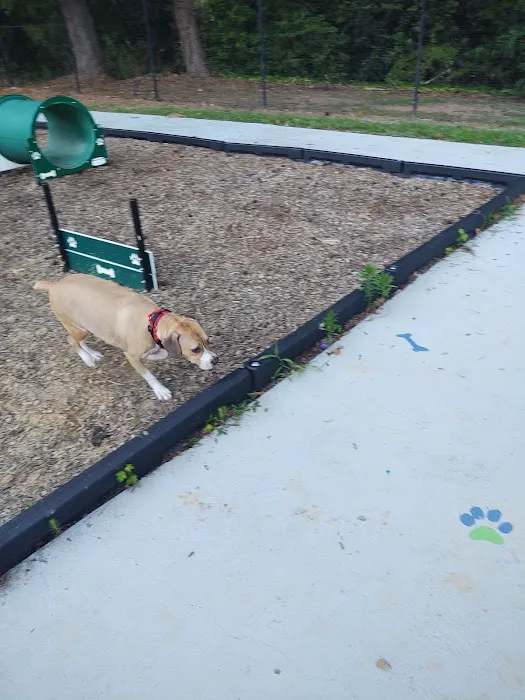 Scentral Bark Dog Park 2