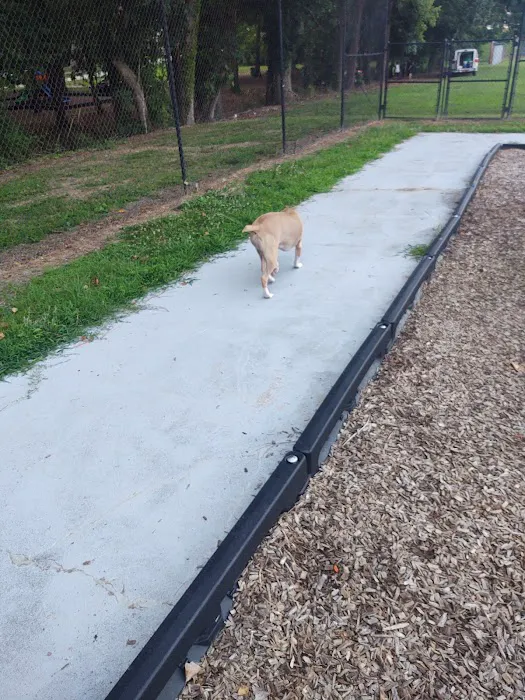 Scentral Bark Dog Park 7