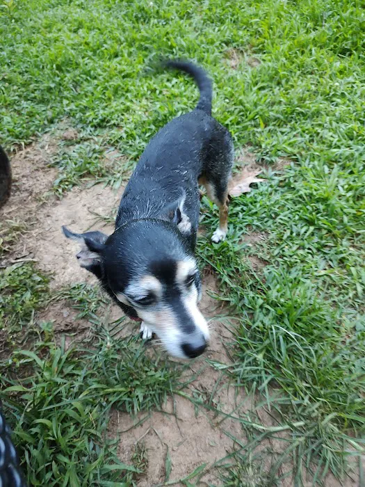 180 West Complex Dog Park 2
