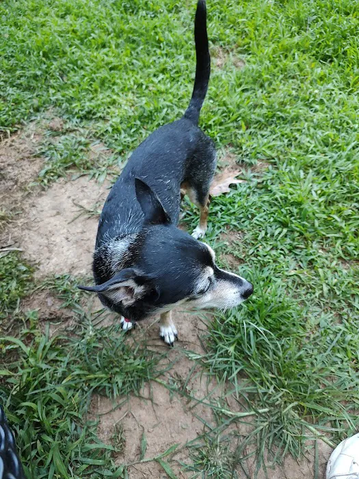 180 West Complex Dog Park 4