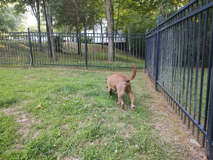 180 West Complex Dog Park 7