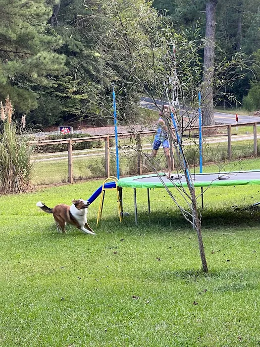 Honeybee Private Dog Park 6