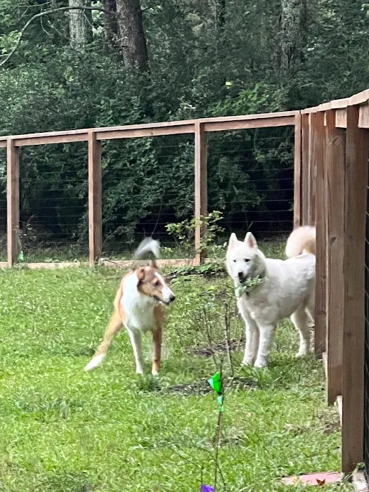 Honeybee Private Dog Park 4