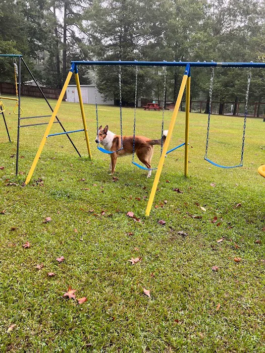 Honeybee Private Dog Park 10