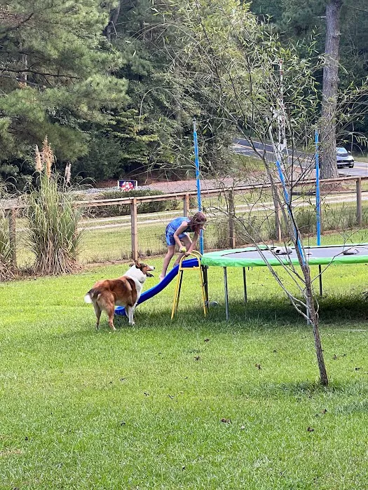 Honeybee Private Dog Park 9