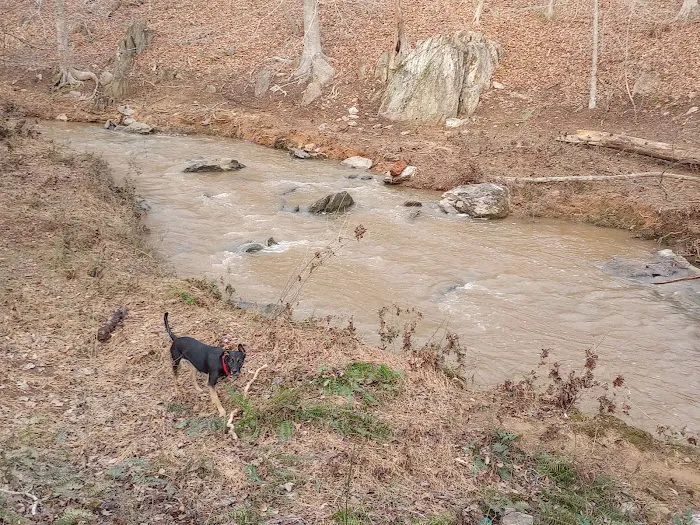 Morgan Creek K-9 Park 2