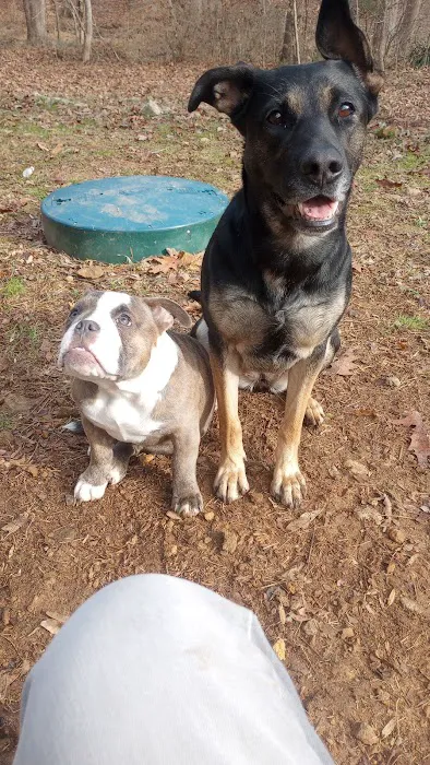 Morgan Creek K-9 Park 5