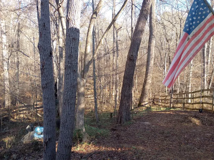 Morgan Creek K-9 Park 9