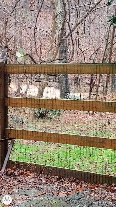 Morgan Creek K-9 Park 8
