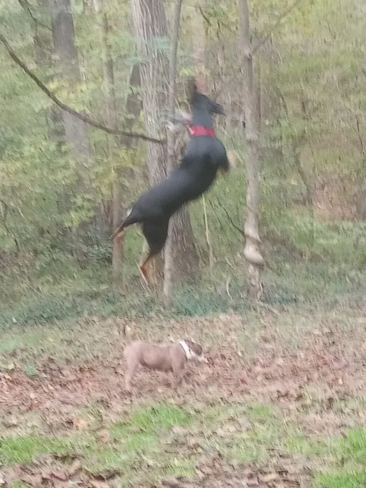Morgan Creek K-9 Park 3