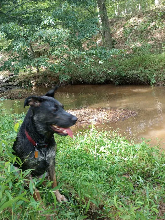 Morgan Creek K-9 Park 6