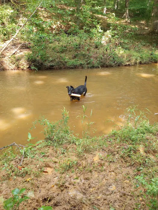 Morgan Creek K-9 Park 7
