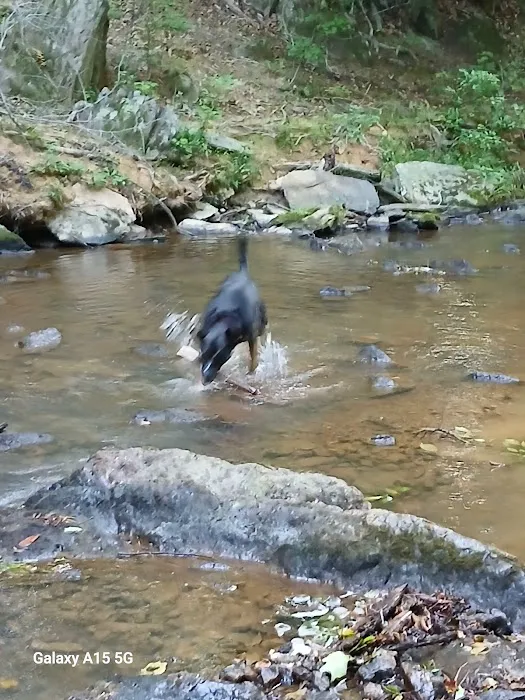 Morgan Creek K-9 Park 10