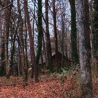 Elon Dog Park - K-9 Corner at Schmidt Park ico